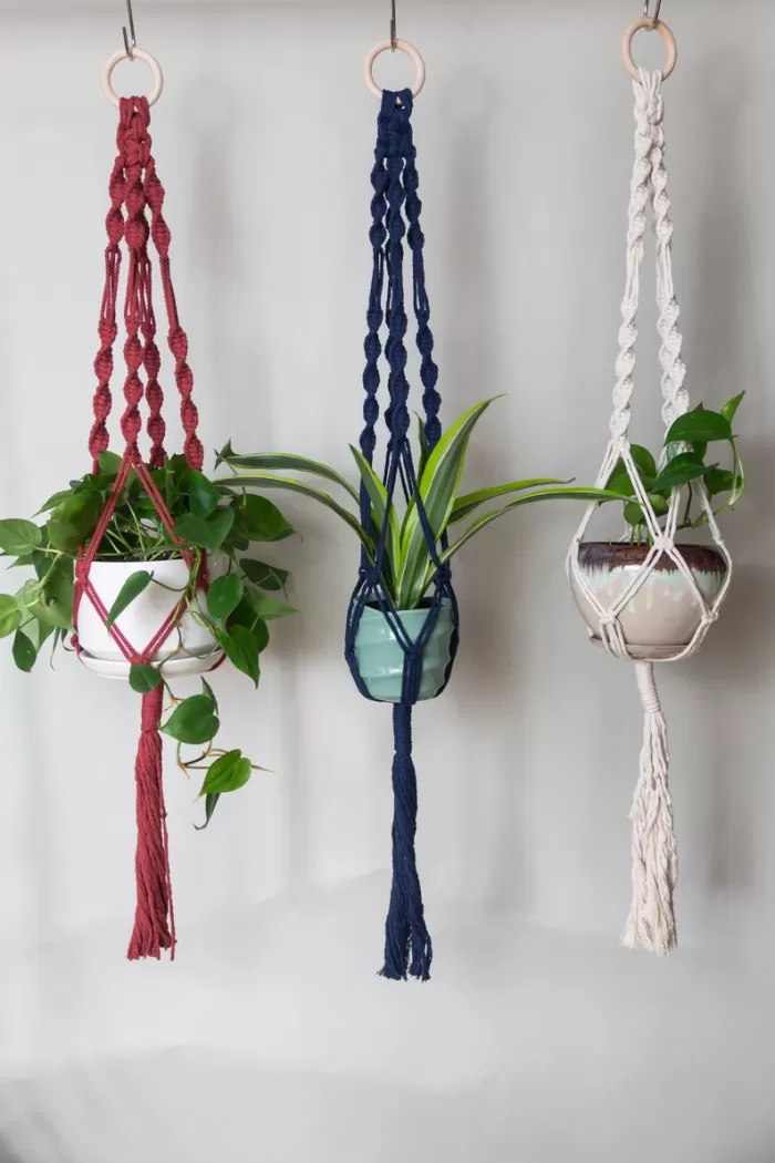 twisted macramé plant hangers