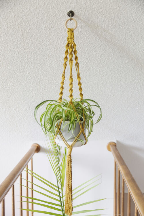 twisted macramé plant hanger
